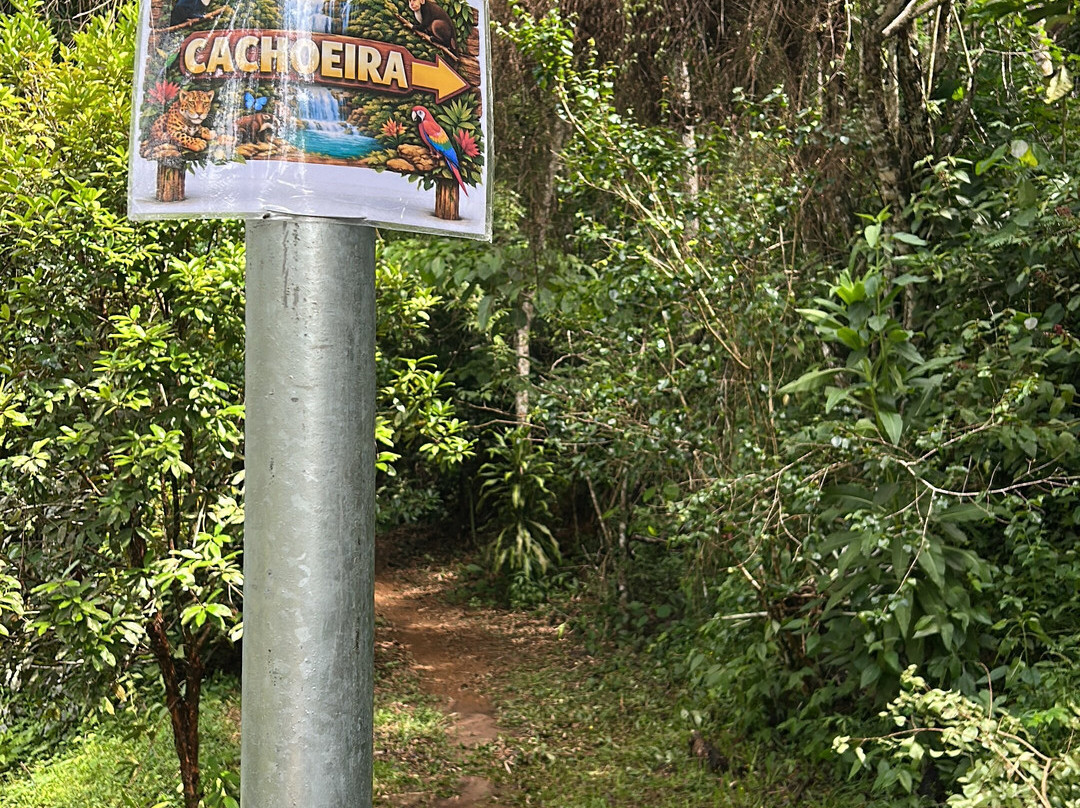 Parque da Lajinha-Juiz de Fora必去景点
