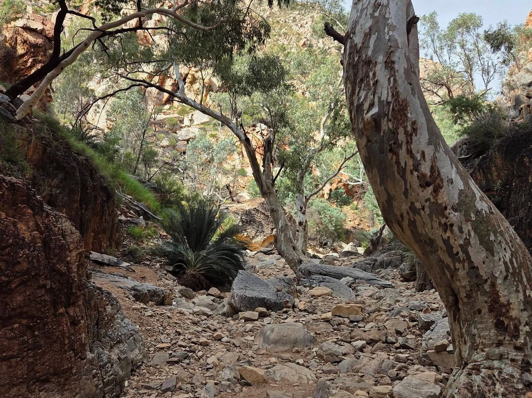 Standley Chasm Angkerle-West MacDonnell National Park必去景点