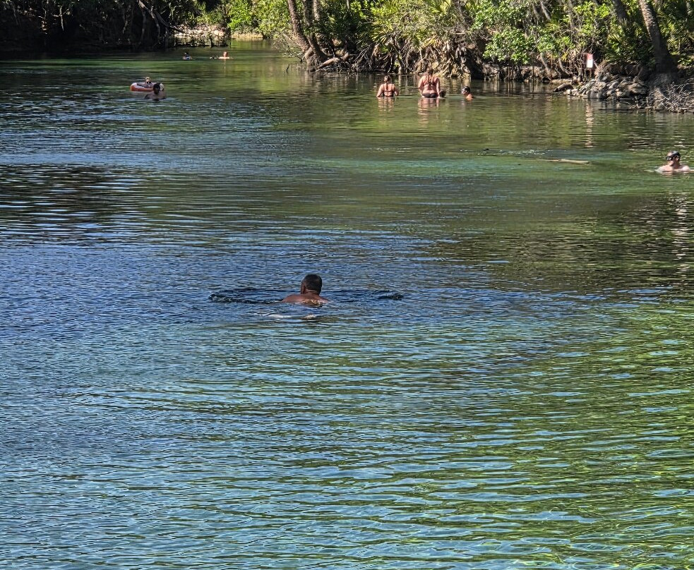 Blue Spring State Park-橙县必去景点