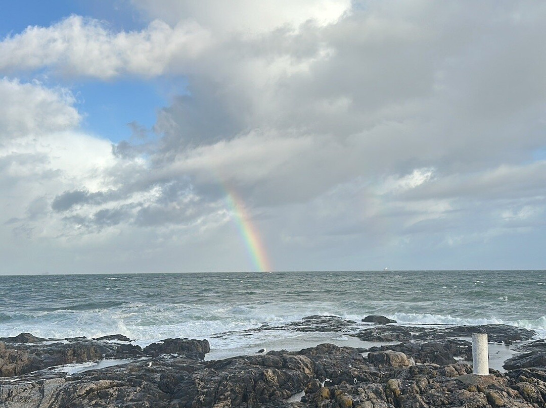Sea Point Beach-Sea Point必去景点