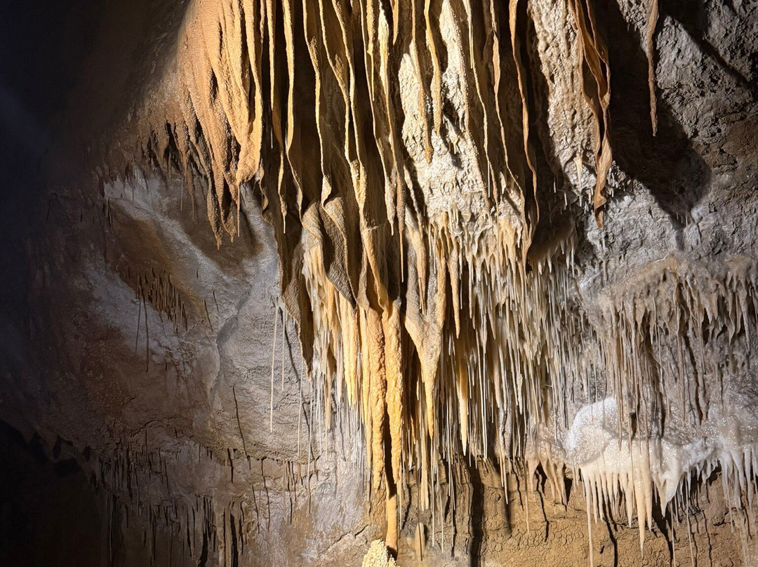 Mole Creek Caves-茉莉溪必去景点