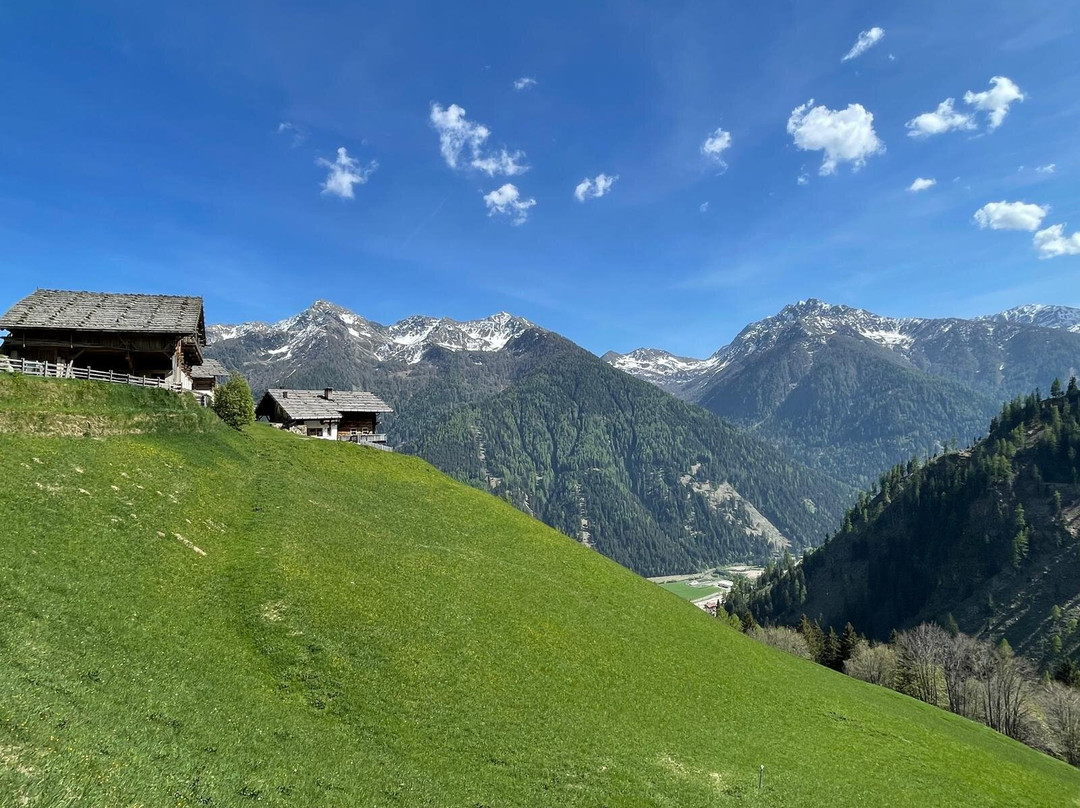 Alpinence