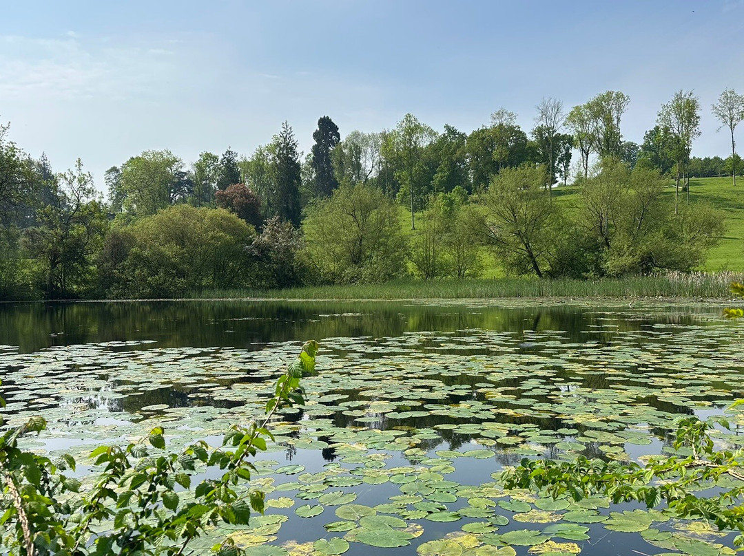 Warner Hotels - Holme Lacy House主图