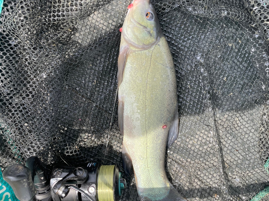 Burton Springs Fishing and Holidays-布里奇沃特必去景点