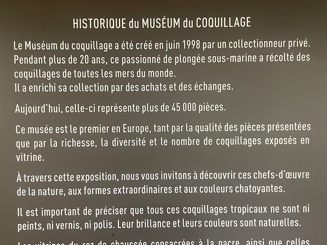 Museum du Coquillage-莱萨布勒多洛讷必去景点