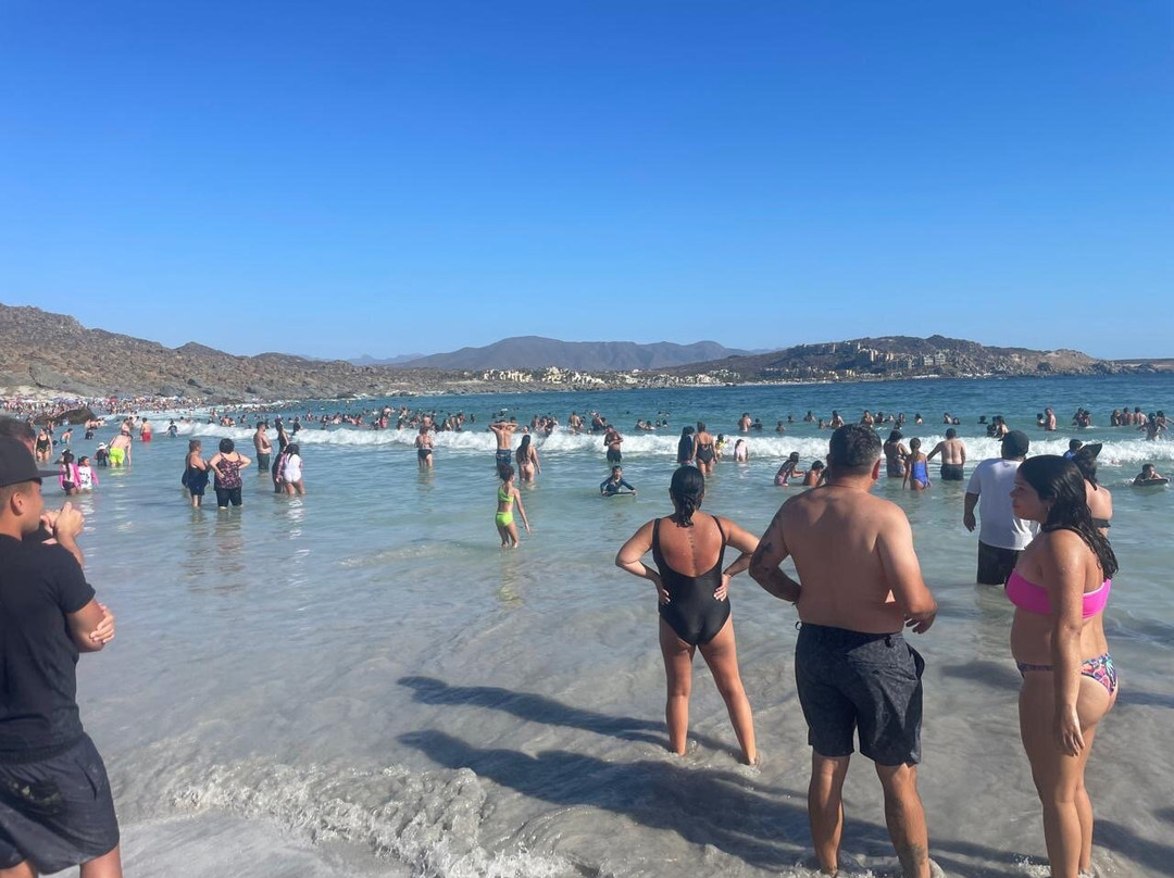 Playa Totoralillo-Coquimbo必去景点