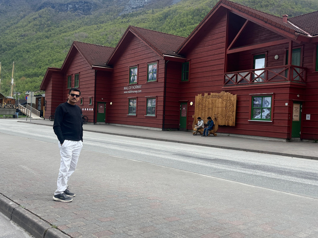 Flam Visitor Center-弗洛姆必去景点