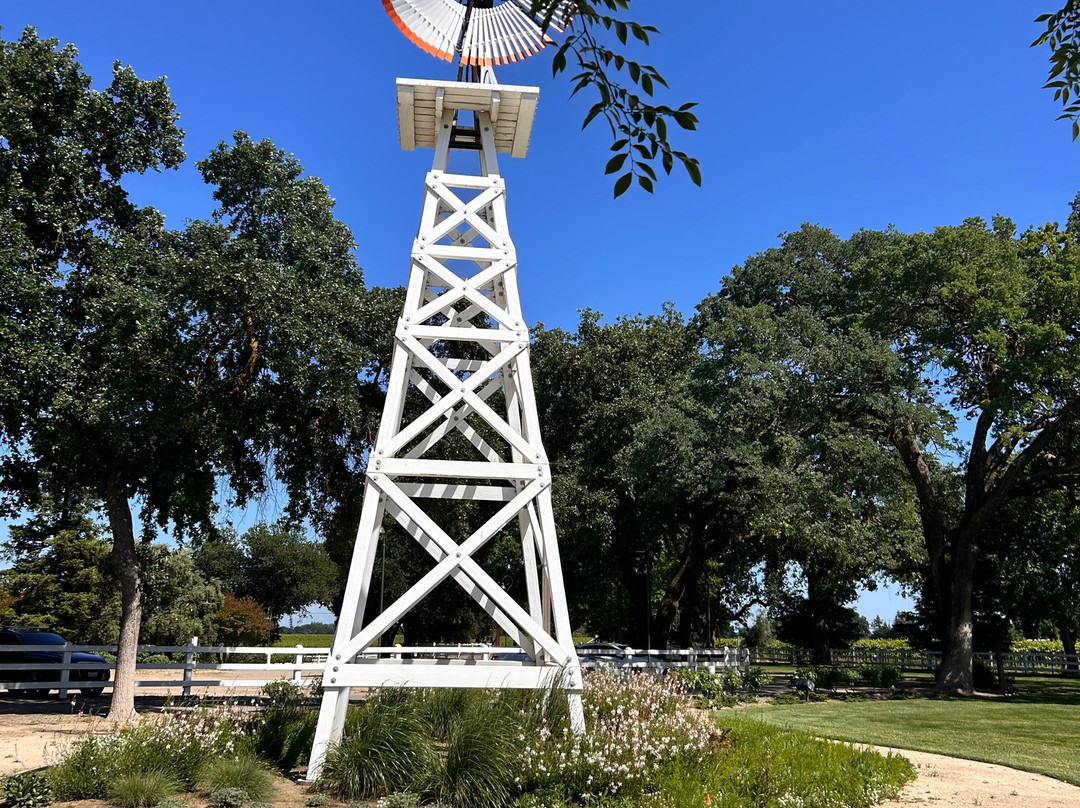 Oak Farm Vineyards-洛迪必去景点