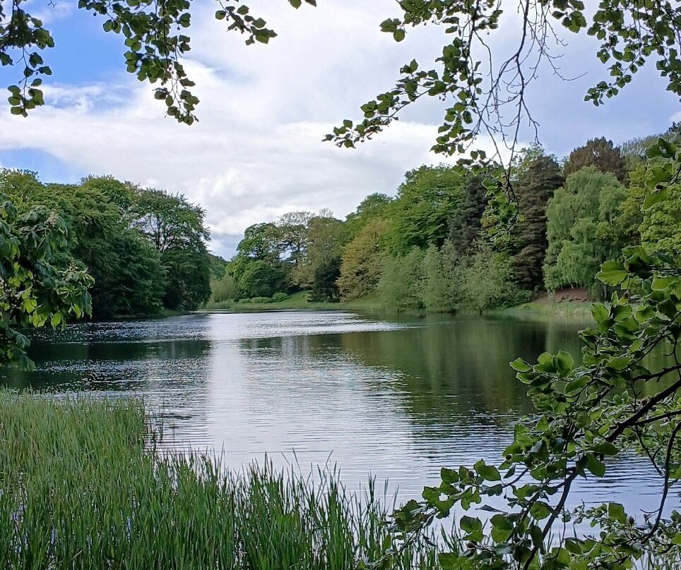Nostell Priory and Parkland-韦克菲尔德必去景点