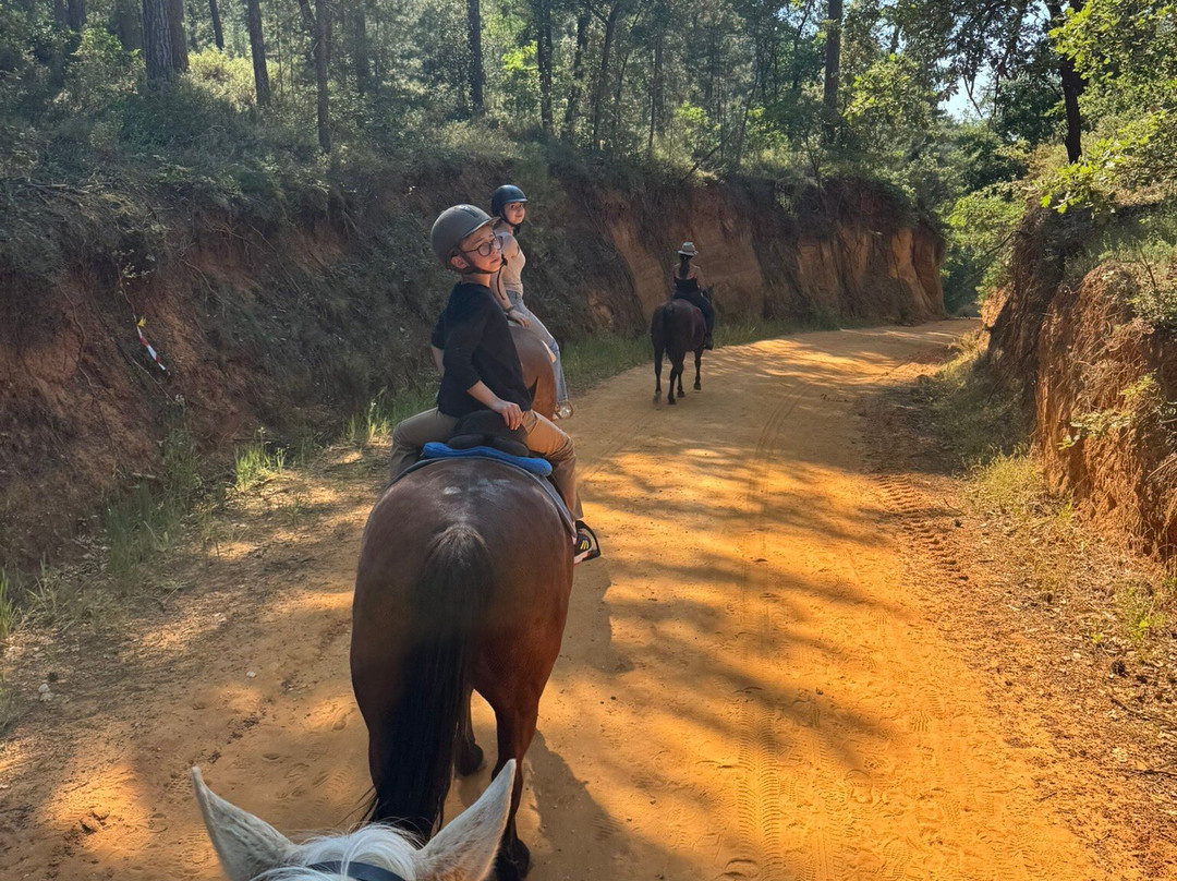 Provence Hipposervices-Saint-Saturnin-les-Apt必去景点