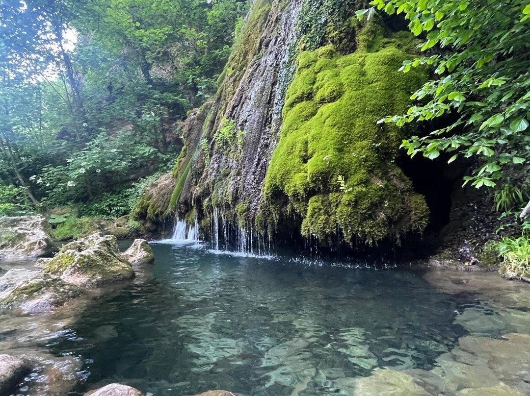 Vadu Crisului Waterfall-Vadu Crisului必去景点