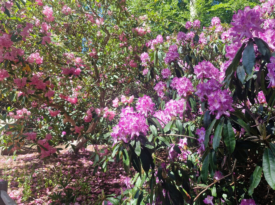 Sheringham Park-Sheringham必去景点