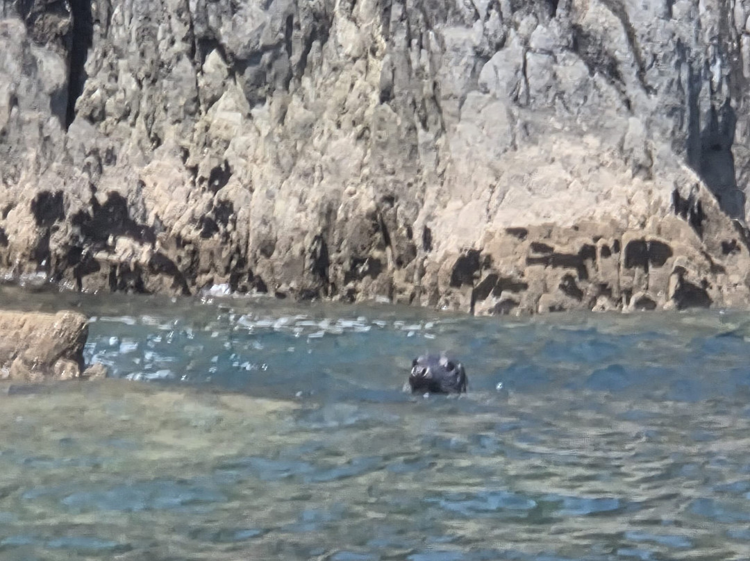 Sea Kayak Devon-达特茅斯必去景点