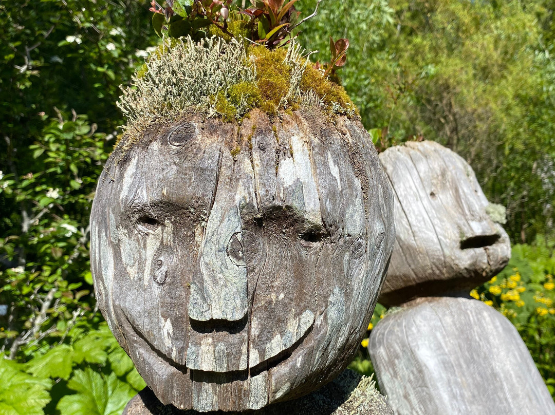 Tofino Botanical Gardens-托菲诺必去景点