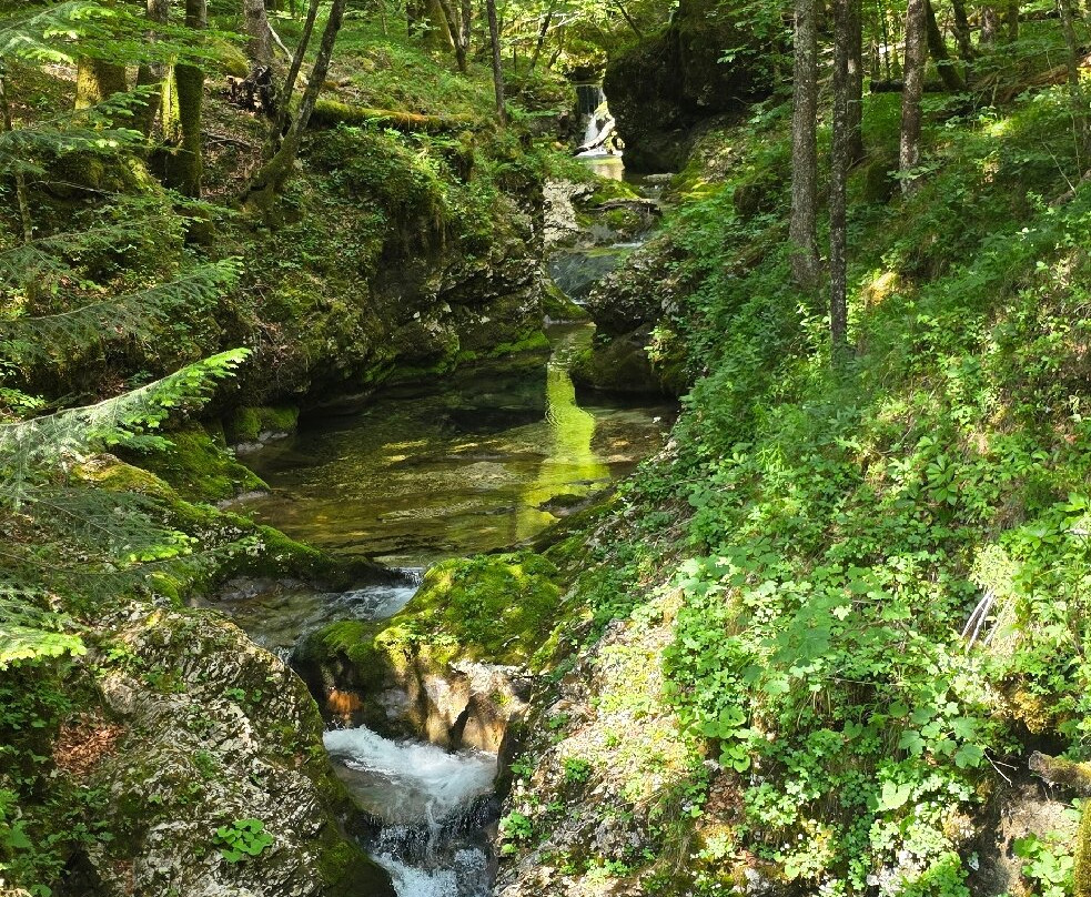 Mostnica Gorge-Stara Fuzina必去景点
