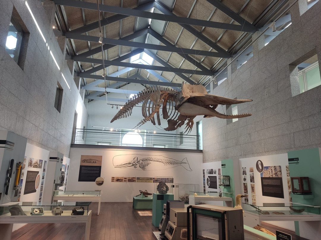 Museo do Mar de Galicia-比戈必去景点