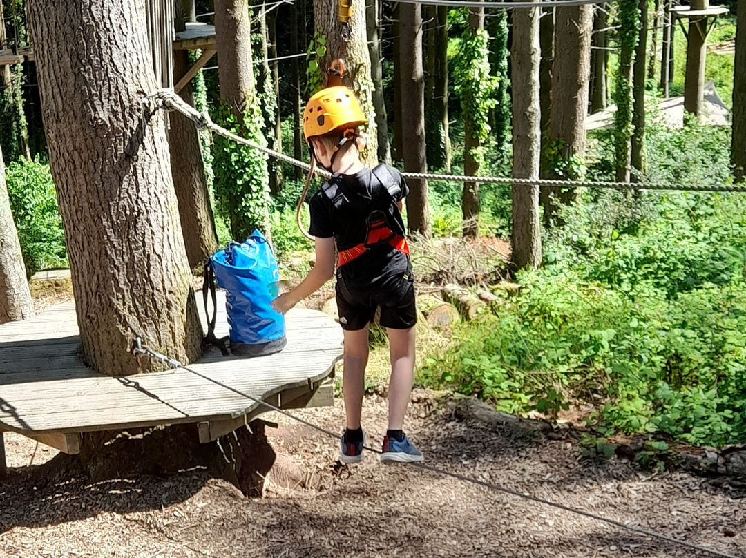 The Tunnel Tree Tops High Ropes-Charmouth必去景点