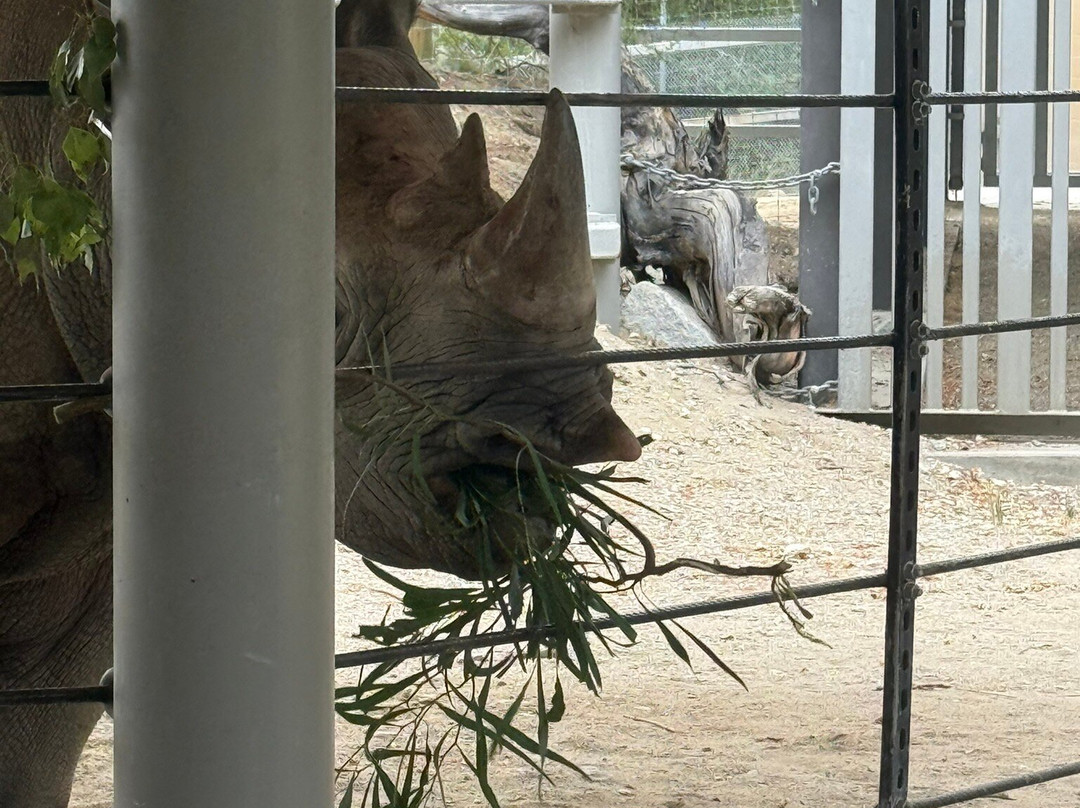 The Living Desert Zoo and Gardens-棕榈沙漠必去景点