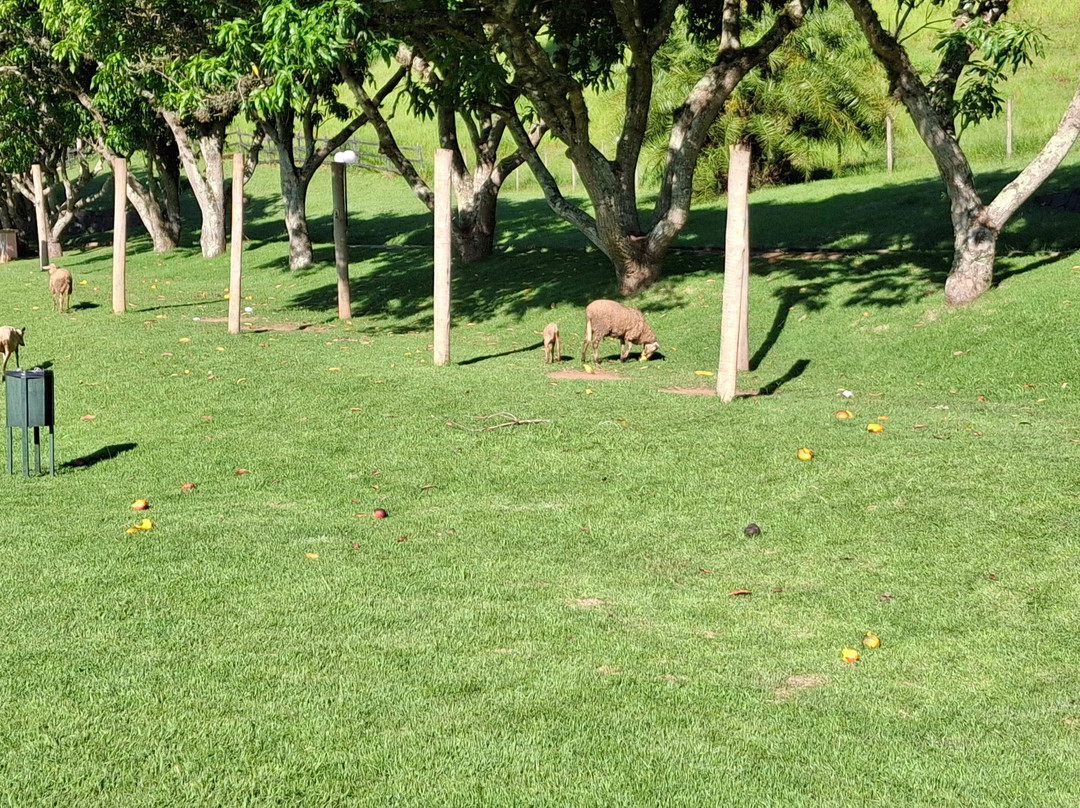 Fazenda Ribeirão Hotel De Lazer主图