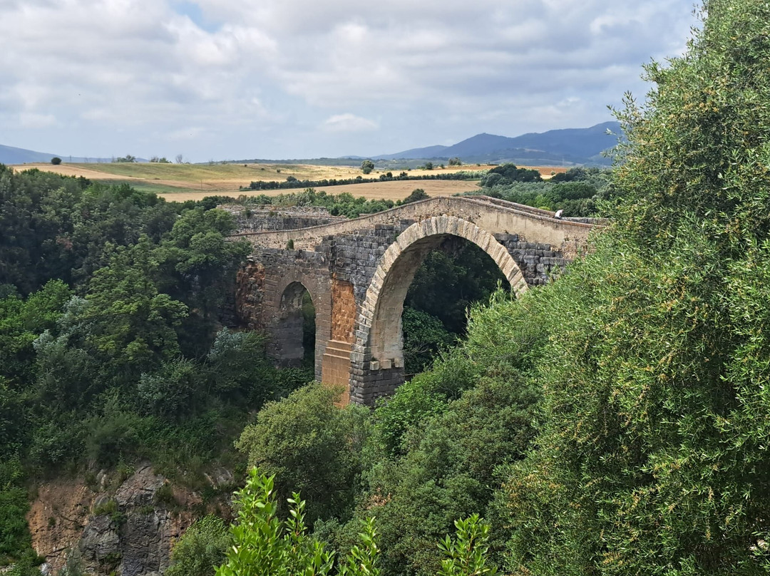 Parco Archeologico Naturalistico di Vulci-Montalto di Castro必去景点