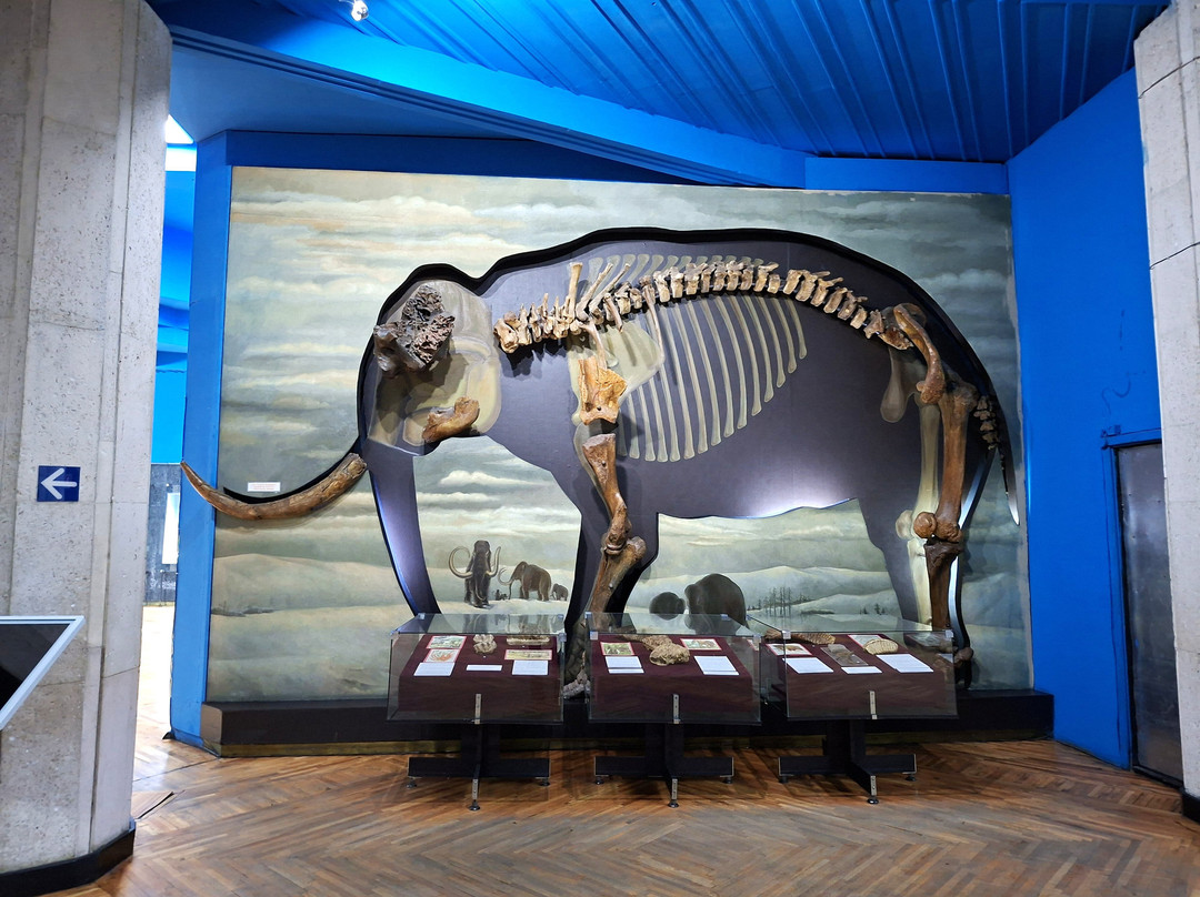Central State Museum of Kazakhstan-阿拉木图必去景点