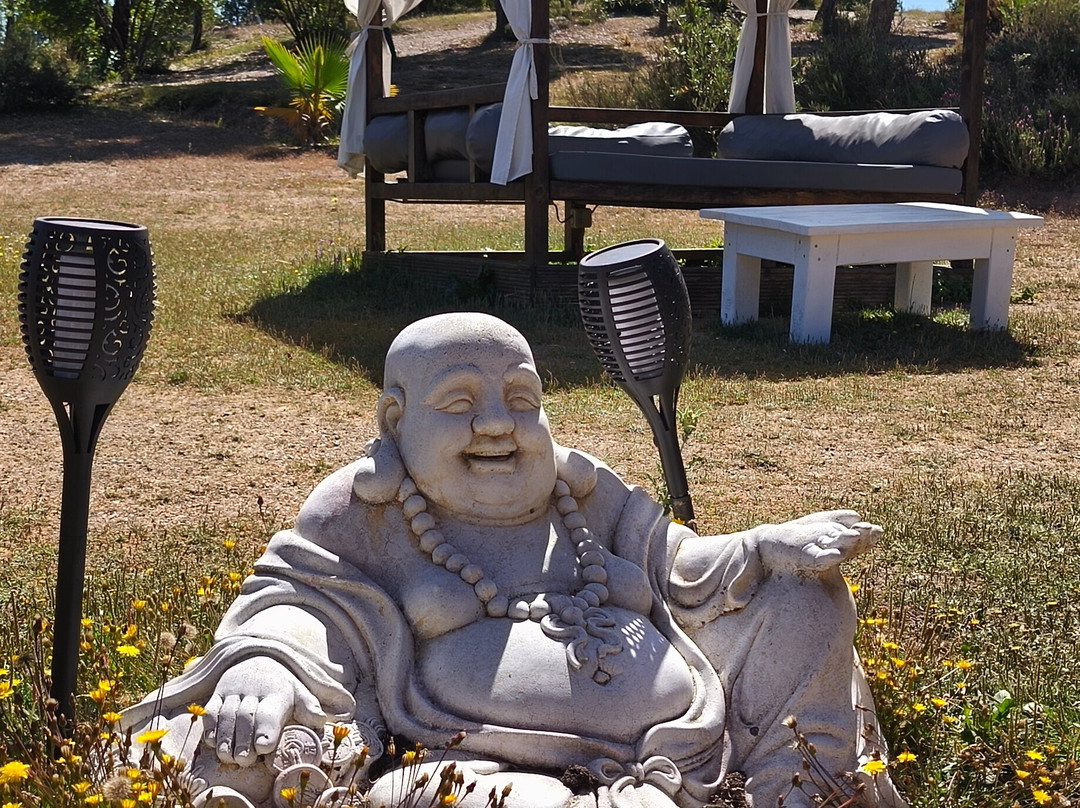 Quinta Dos Corgos主图