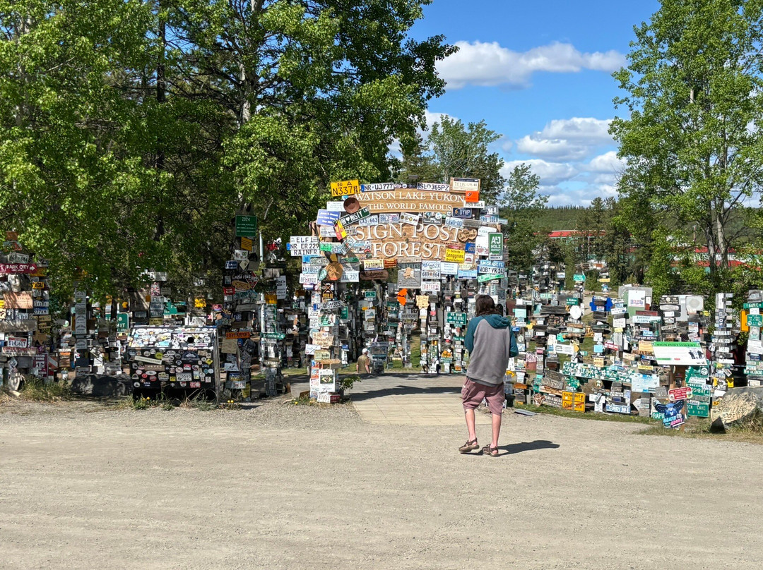 Sign Post Forest-Watson Lake必去景点
