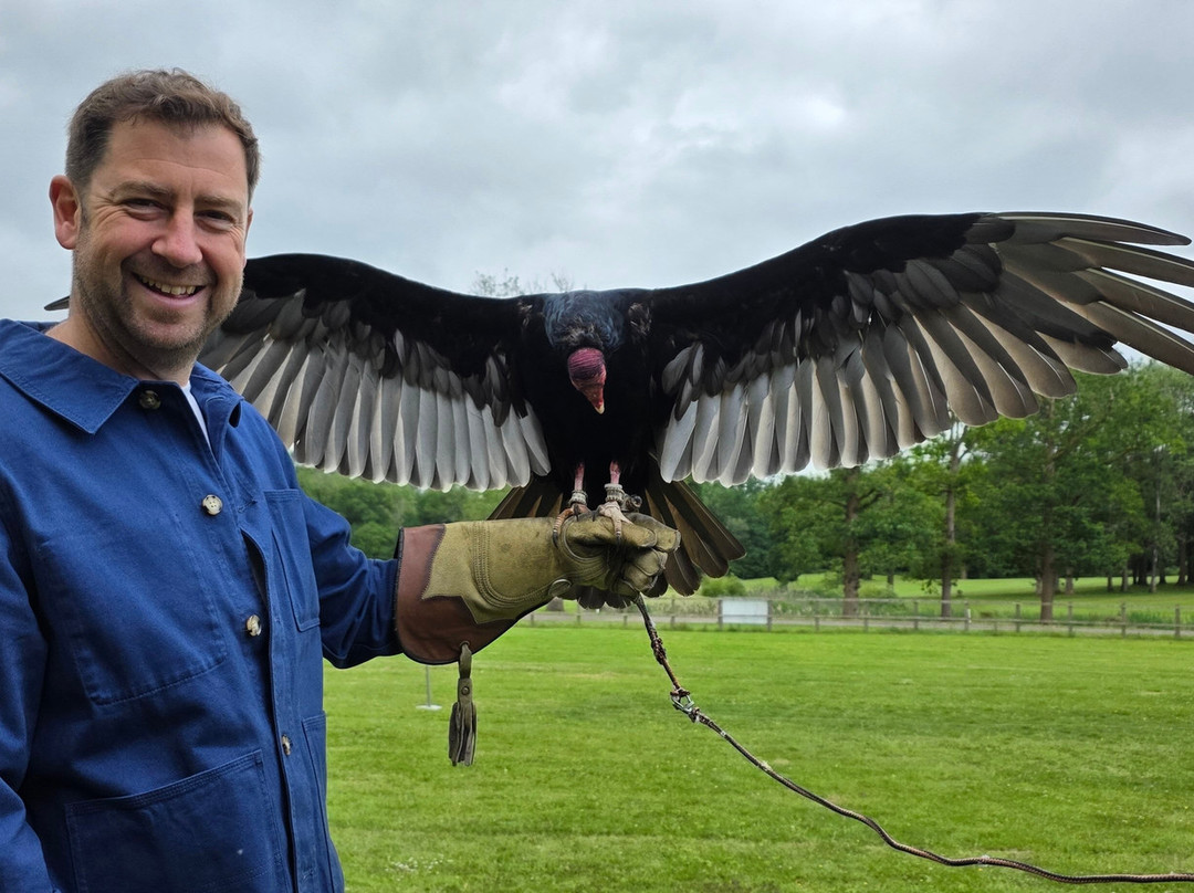 Surrey Hills Falconry-Ockley必去景点