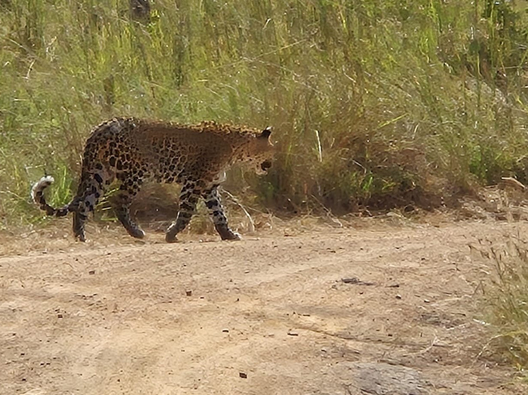 Zamsato - Zambia Safaris & Adventours-李文斯顿必去景点