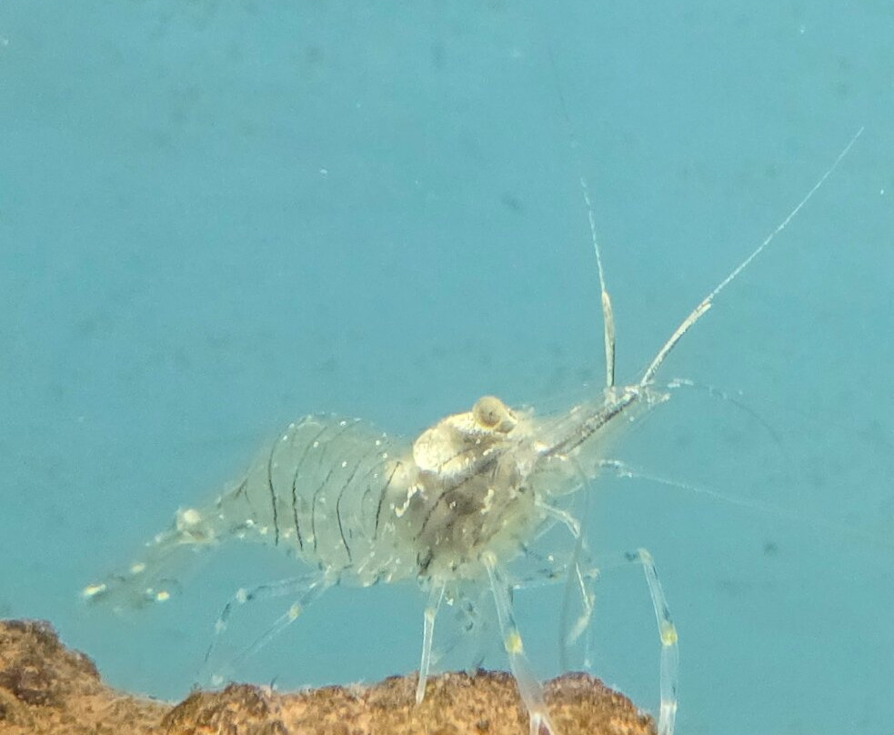 Lyme Regis Marine Aquarium-莱姆里杰斯必去景点