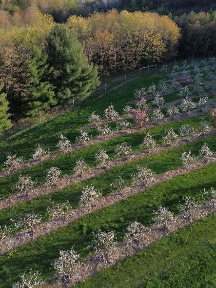 Oakwood Fruit Farm-Richland Center必去景点