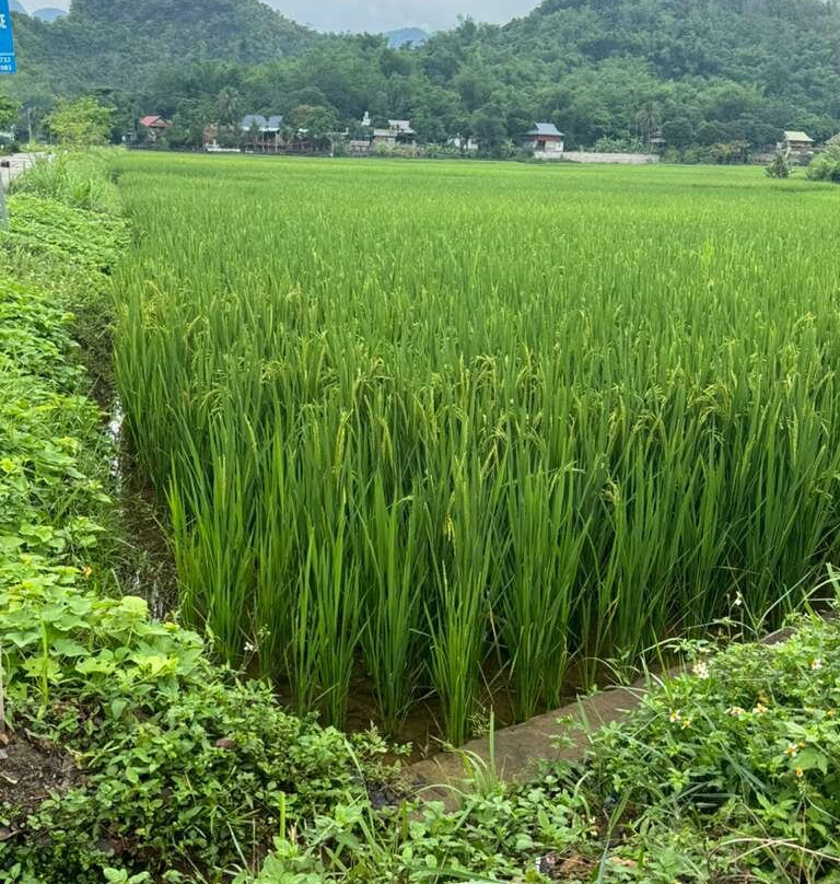 Thung Nham Ecotourism Zone - Ninh Binh-Ninh Hai必去景点