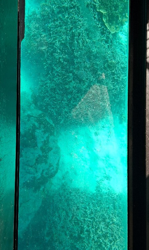 Lady Musgrave Experience - Reef Tours-Burnett Heads必去景点