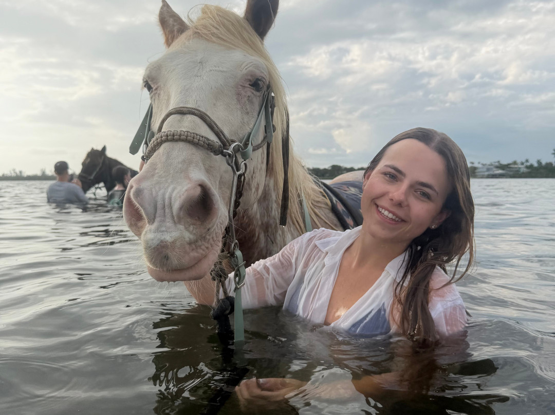 Florida Beach Horses-布雷登顿必去景点