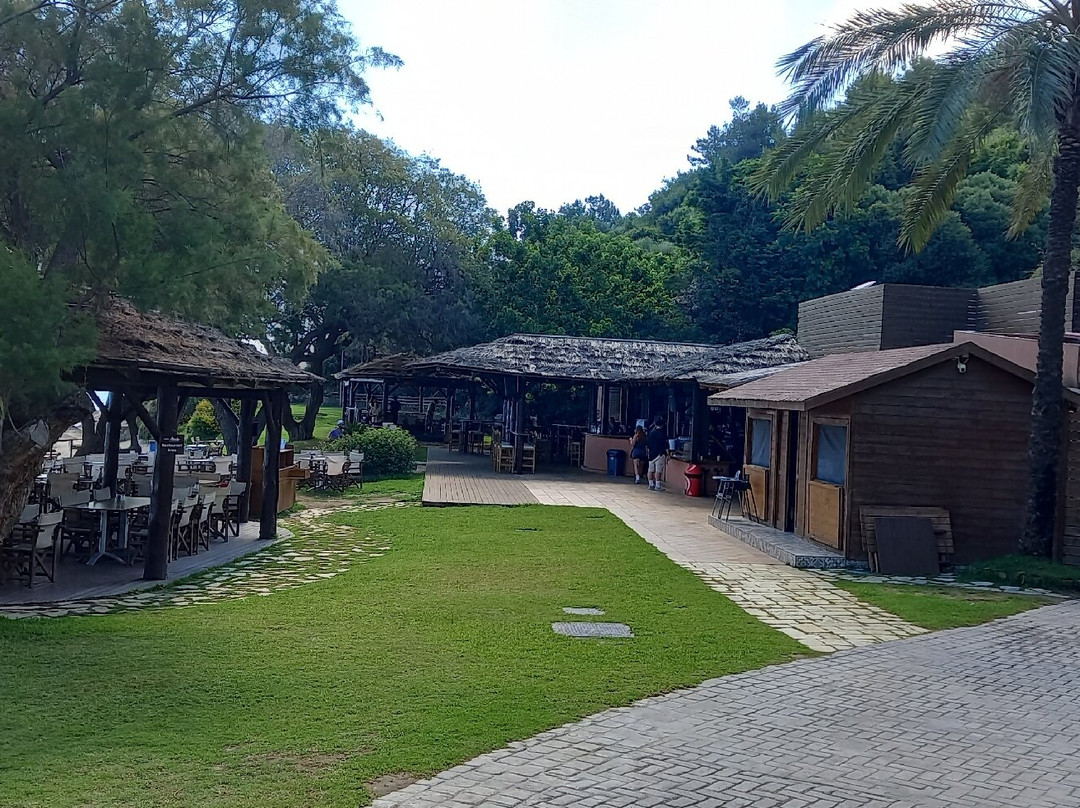 Porto Zoro Beach-扎金索斯必去景点