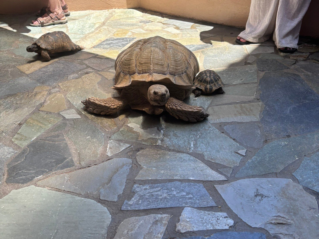 Aquaworld Aquarium & Reptile Rescue Centre-赫索尼索斯必去景点