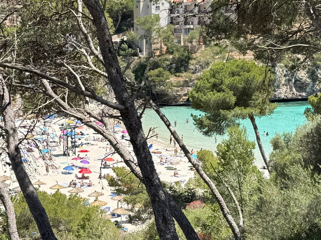 Cala Santanyi-桑塔尼必去景点