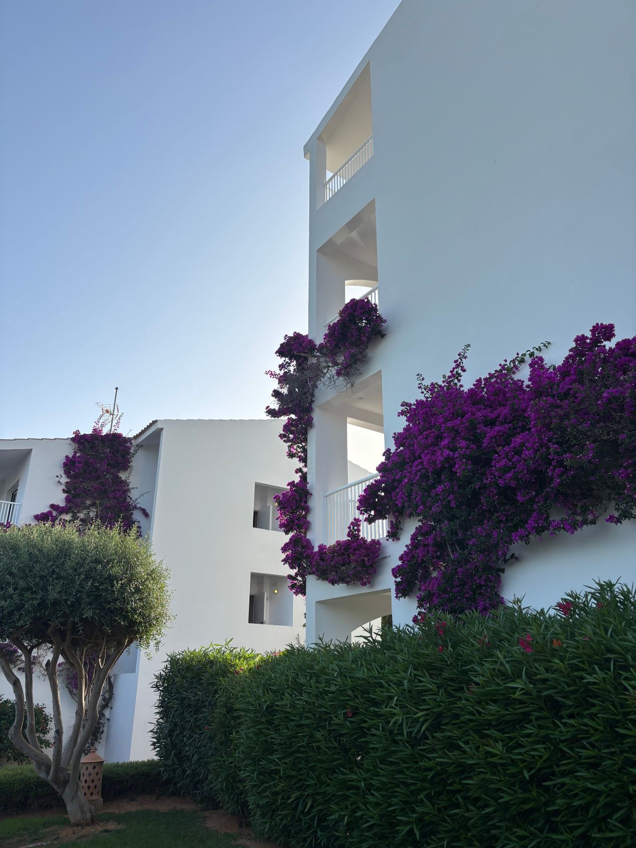 Prinsotel la Caleta-旅行者