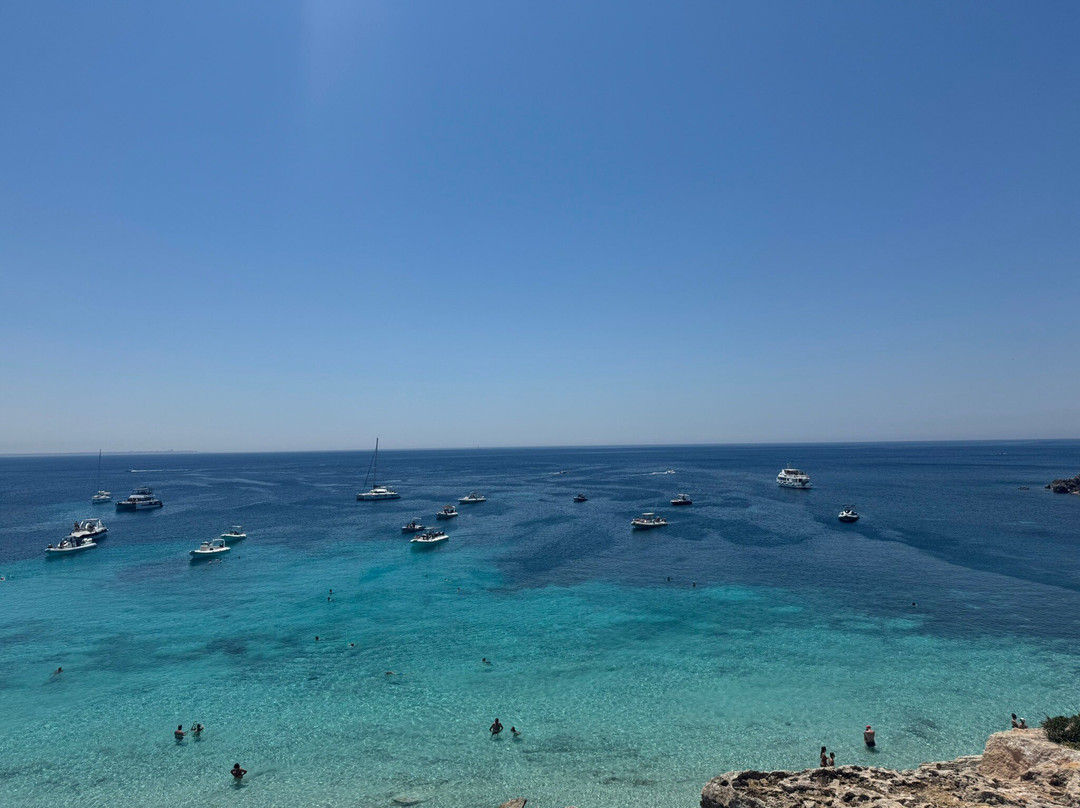Scogliera Cala Azzurra-法维格纳纳必去景点
