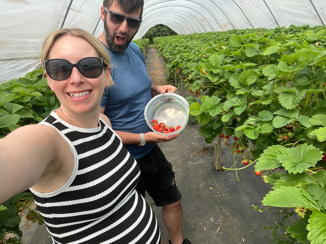 Woore Fruit Farm-Woore必去景点
