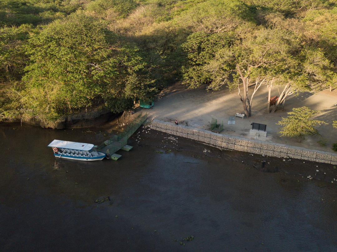 Palo Verde Boat Tours-Ortega必去景点