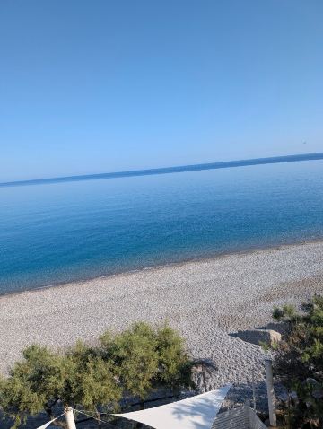 卡波海王星酒店-旅行者