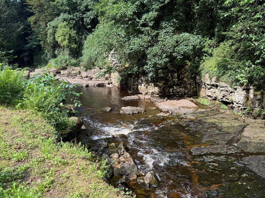Rokeby Park-Barnard Castle必去景点