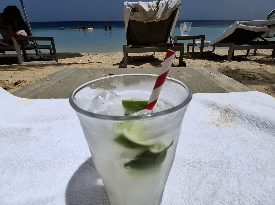 鹦鹉海滩度假酒店主图