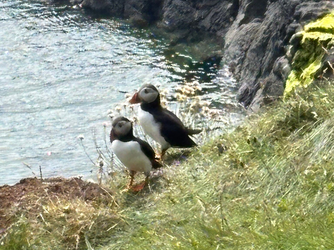 Staffa Trips-Isle of Iona必去景点