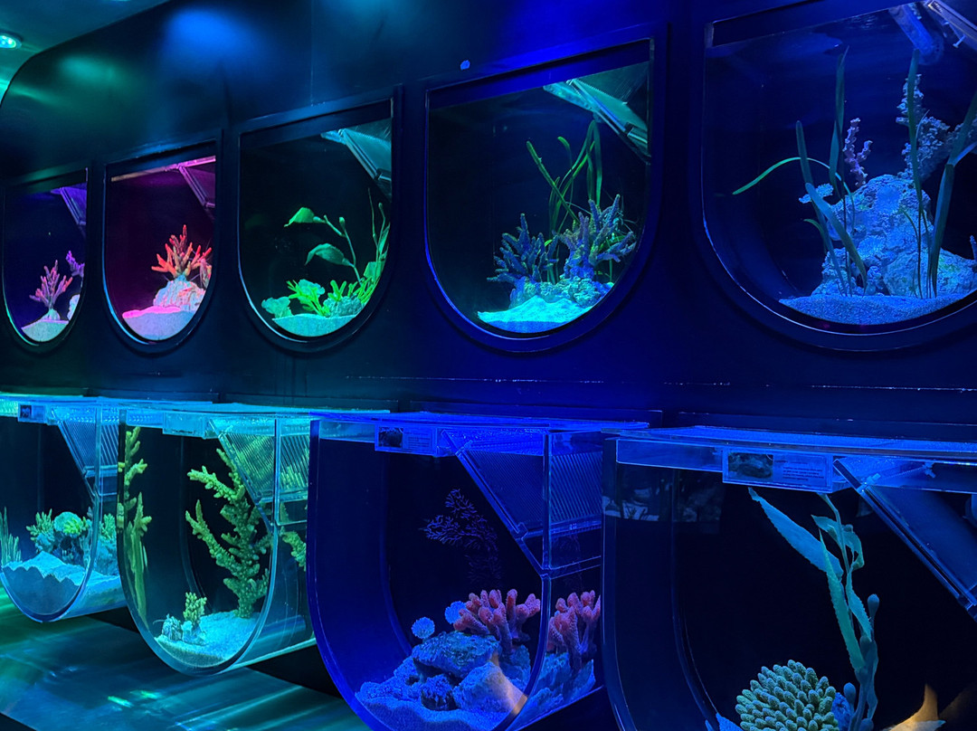 Marassi Aquarium & Underwater Zoo-Diyar Al Muharraq必去景点