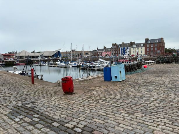 Harbour Nights Guest House-旅行者
