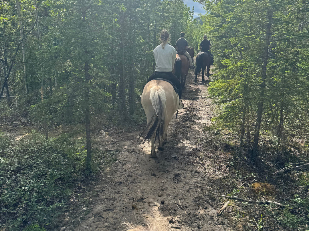Denali Horseback Tours-德纳利国家公园和自然保护区必去景点