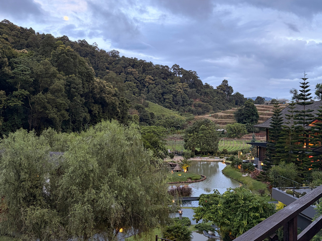 蒙查温泉旅馆主图