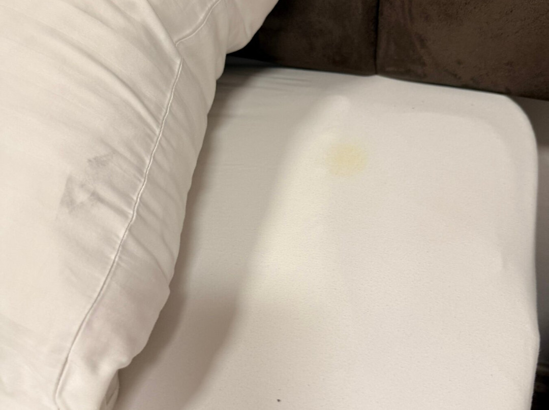 Zepter Hotels集团的Zepter Hotel Drina Bajina Bašta酒店主图